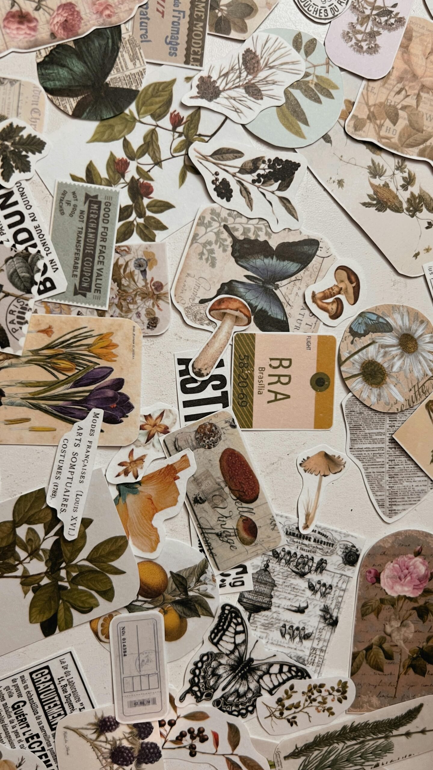 Mohani Printing Solution (Printing Press in Noida)
