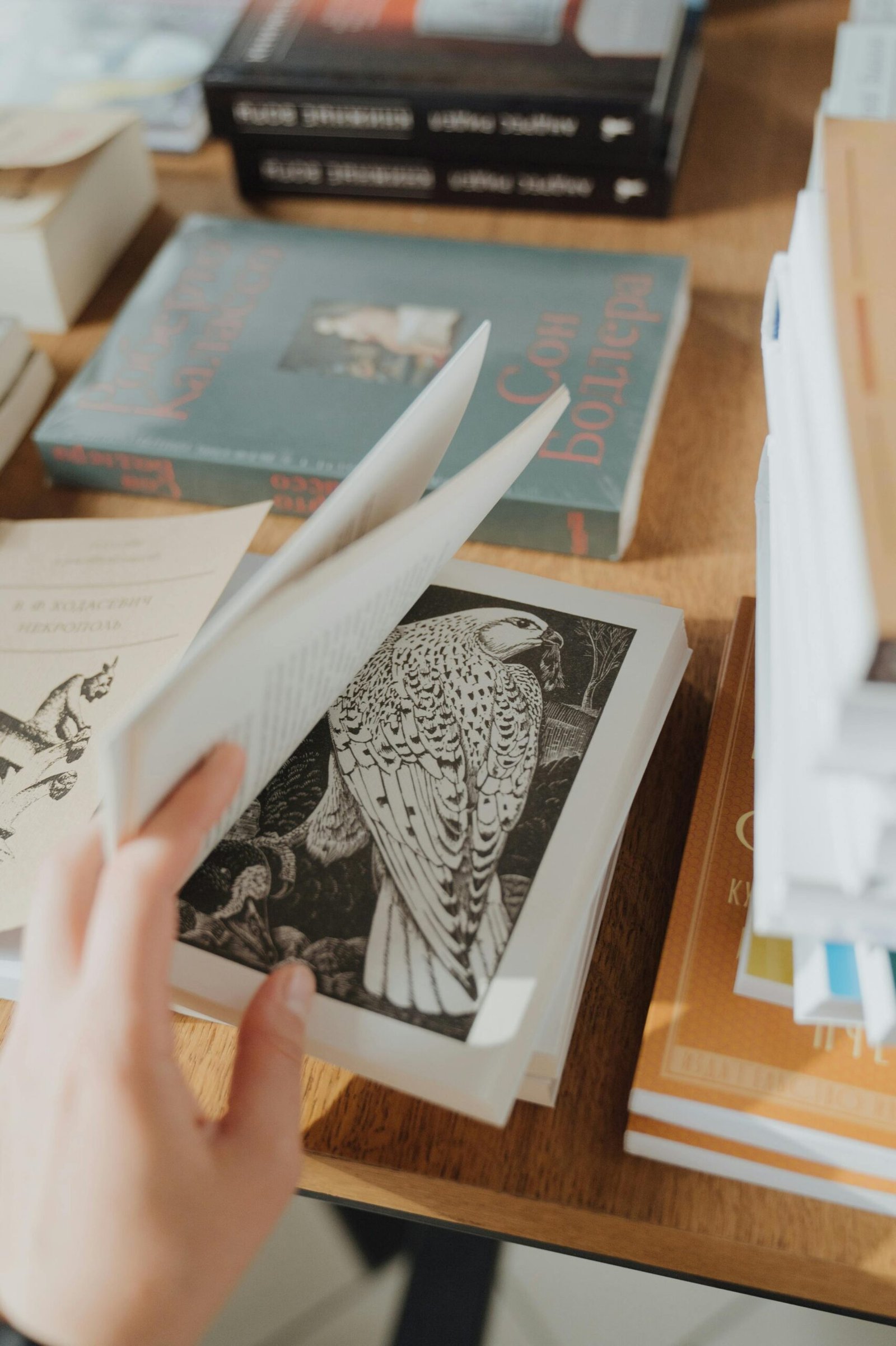 Mohani Printing Solution (Printing Press in Noida)